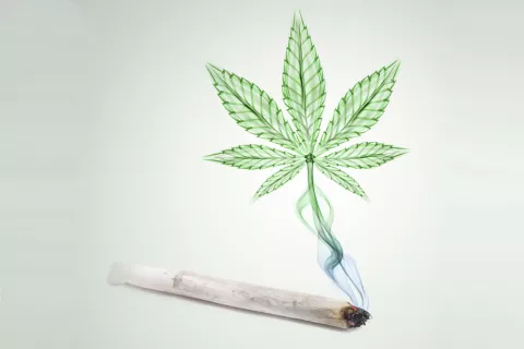 Marihuana como droga Efectos negativos de la marihuana