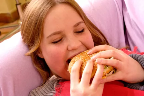 Causas de la obesidad Causas de la obesidad en la población