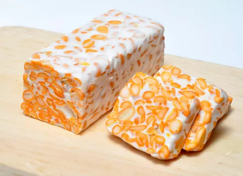 Qué es el tempeh Tempeh