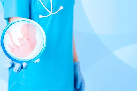 Nueva técnica acorta tiempos para lograr un embarazo por reproducción asistida Doctora mostrando una imágen 3D de un embrión